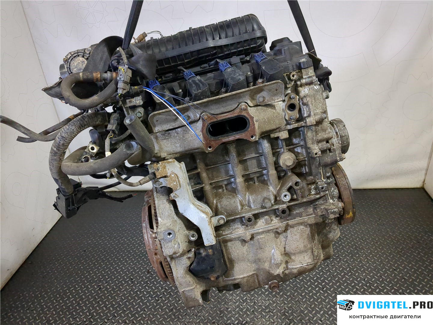 Двигатель Honda Jazz 2008 - 2015 L12B1, L12B2 1.2 л., Бензин, Инжектор, артикул 7973852