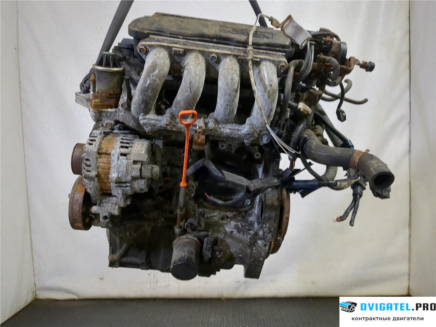 Двигатель Honda Jazz 2008 - 2015 L12B1, L12B2 1.2 л., Бензин, Инжектор, артикул 7973852